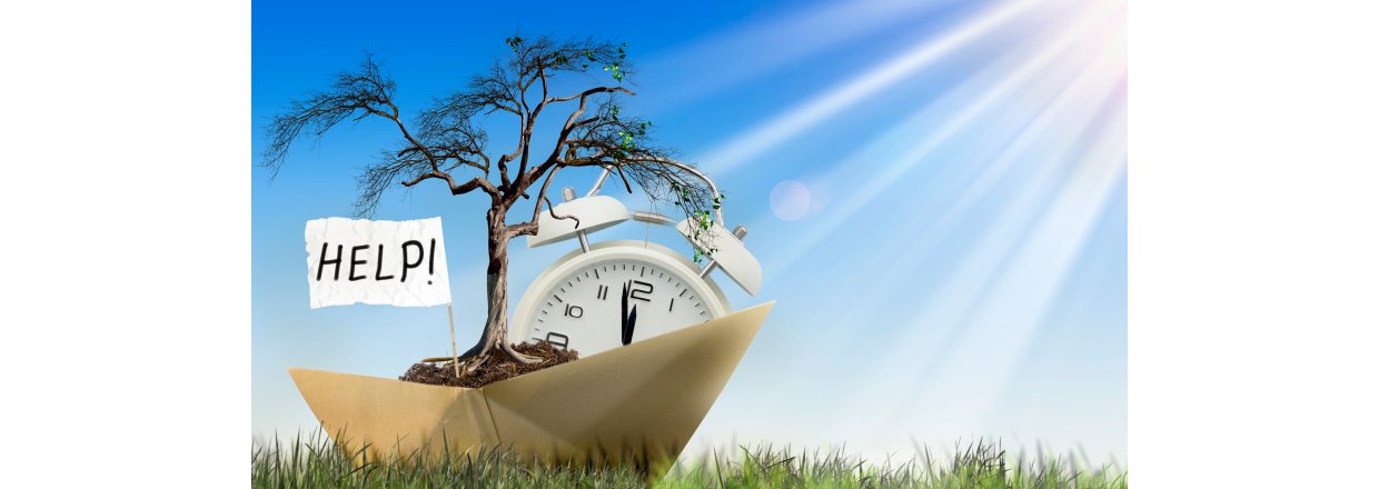 Frbutikkens klimaplan