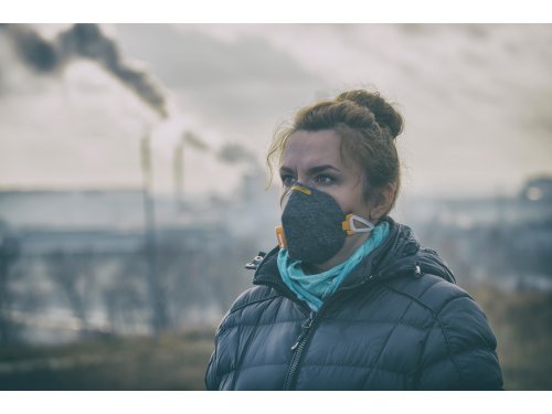 Frøbutikkens klimaplan