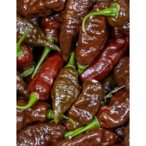 Ekstremt stærke chili frø