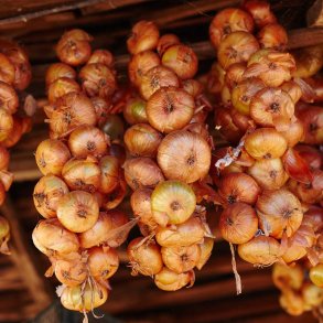 L&oslash;g fr&oslash;