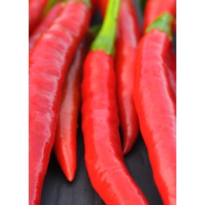 Meget stærke chili frø