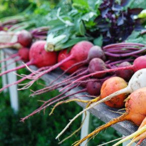 R&oslash;dbeder fr&oslash;