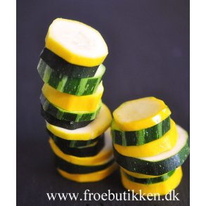 Øko courgetter / squash