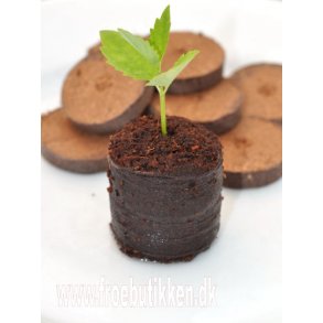 Sbrikker. Kokosfiber. Biologisk nedbrydelige. 48 stk. 3,6 cm.