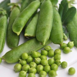�rter fr�. Alderman. Pisum sativum. Ca. 130 Fr�