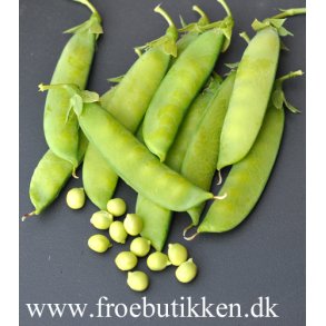 rter. Hendriks. Pisum sativum. Fr.