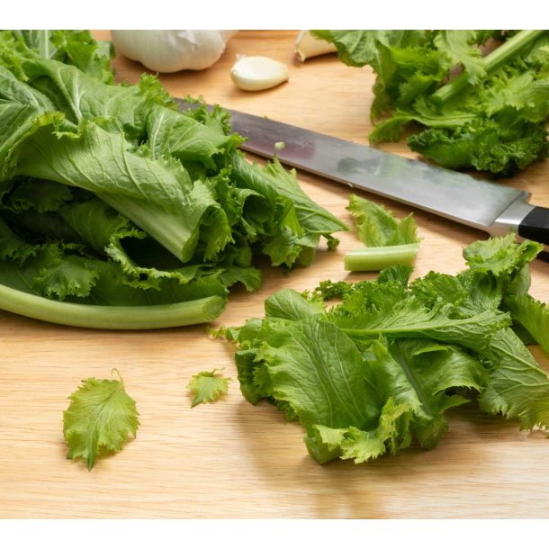 Amsoi. Green. Brassica juncea. Fr