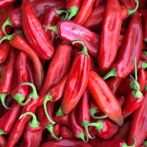 Chili fr�. Anaheim. Capsicum annuum. Ca. 10 Fr�.