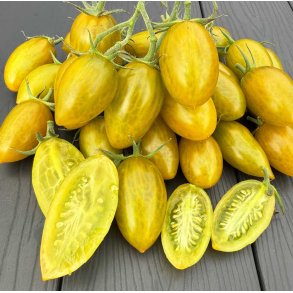 Tomat. Artisan green tiger. Solanum lycopersicum. Fr