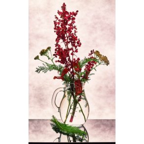 Blodmlde. Atriplex hortensis rubra. Fr