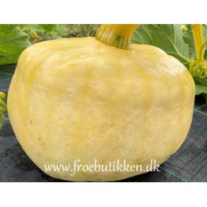 Grskar. Australian butter. Cucurbita maxima.Fr