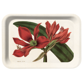 Bakke. Amaryllis