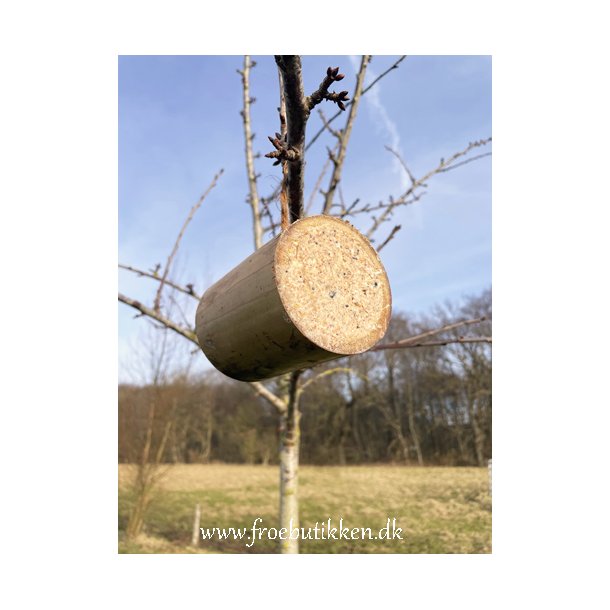 Fuglefoder / bambusrr