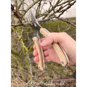 Saks. Beskringssaks. Trhndtag. Sogo