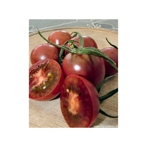 Tomat. Black cherry. Solanum lycopersicum. kologisk. Fr