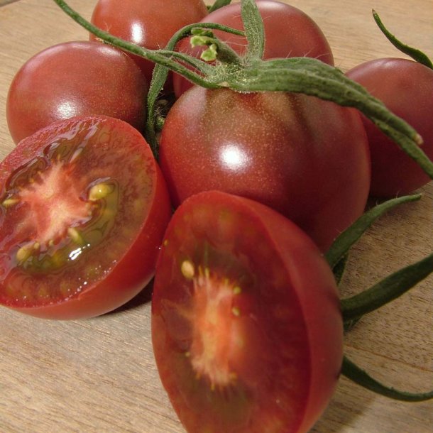 Tomat fr�. Black cherry. Solanum lycopersicum. Ca. 12 Fr�.