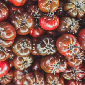 Tomat fr�. Black krim. Solanum lycopersicum. Ca. 10 fr�