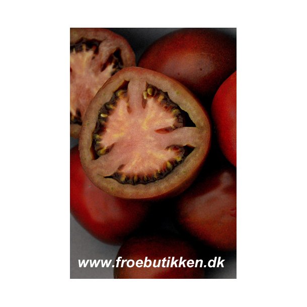 Tomat. Black russian. Solanum lycopersicum. Fr.