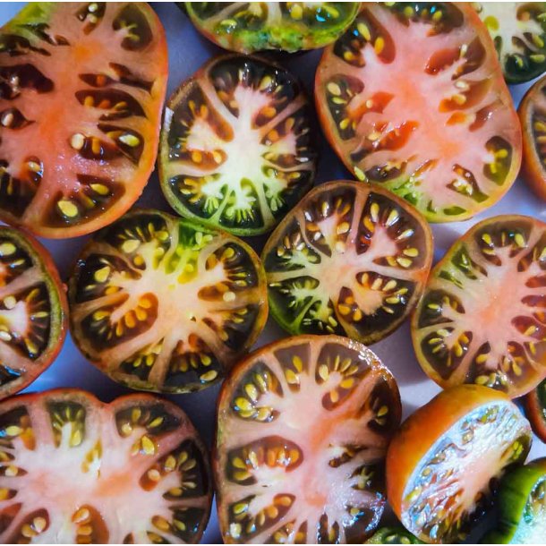 Tomat. Black russian. Solanum lycopersicum. Fr.