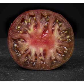 Tomat. Black from Tula. Solanum lycopersicum. Fr.