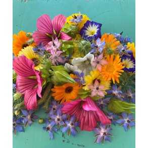 Blomsterblanding til sommerfugle. X-tra stor portion. Fr