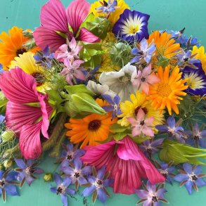 Blomsterblanding fr� til sommerfugle. X-tra stor portion. Til ca. 100 m2. Fr�