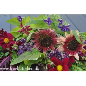 Blomsterblanding. Blomsterbondens drm. Fr