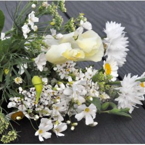 Blomsterblanding. Bride. Fr