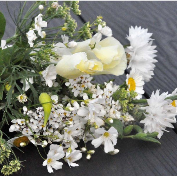 Blomsterblanding. Bride. Fr