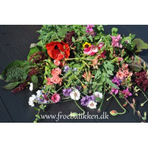 Blomsterblanding. Blomsterpigens. X-tra stor portion. Fr