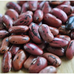 Bnner. Prizewinner. Phaseolus coccineus. Klatrende. Fr.