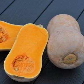 Grskar. Waltham butternut. Curcurbita mochata. kologisk. Fr