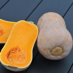 Gr�skar.  Waltham Butternut. Cucurbita mochata. Ca. 15 fr�