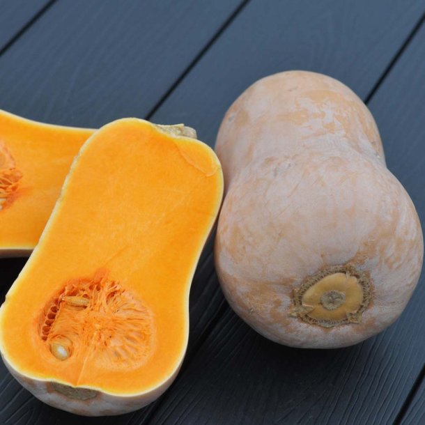 Gr�skar.  Waltham Butternut. Cucurbita mochata. Ca. 15 fr�