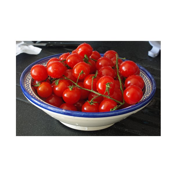 Tomat. Cerise. Solanum lycopersicum.  kologisk. Fr.