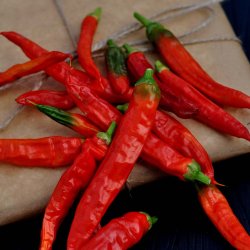 Chili fr�. De Cayenne. Capsicum annuum. Ca. 10 Fr�.