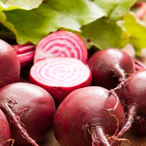 R�dbeder fr�. Chioggia. Beta vulgaris. Ca. 500 Fr�.