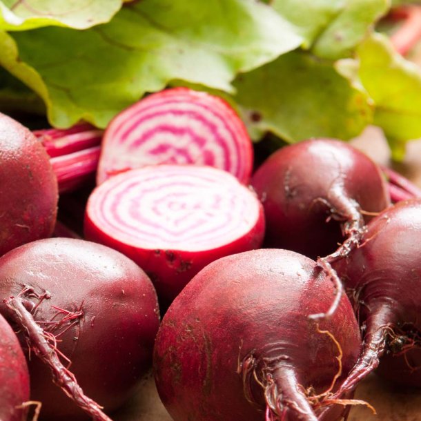 R�dbeder fr�. Chioggia. Beta vulgaris. Ca. 500 Fr�.