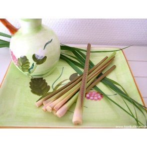 Citrongrs. Cymbopogon flexuosus. Fr.