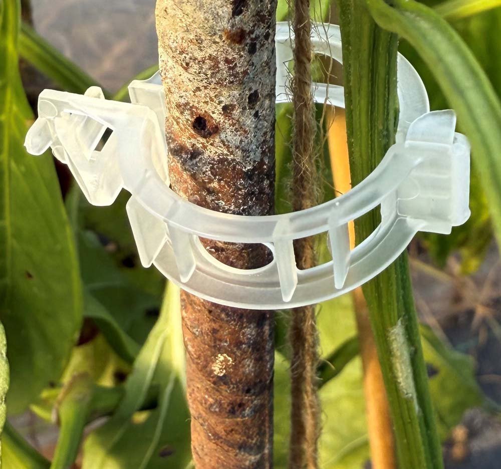 Uundværligt til tomaterne