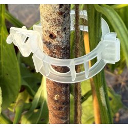 Planteclips. Transperante. 20 stk.