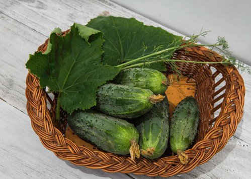 Cornichoner. Cornichonfrø