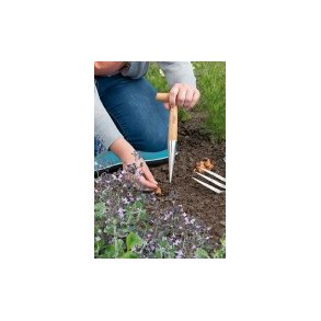 Plantepind med spids