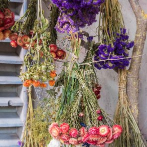 Evighedsblomster fr�. Dr�mmeblanding. Fr�