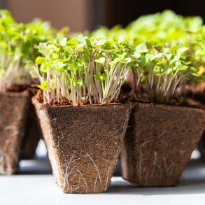 Fiberpotter. Firkantede. 30 stk. 6 x 6 cm