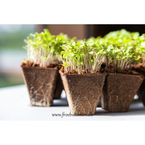 Fiberpotter. Firkantede. 30 stk. 6 x 6 cm