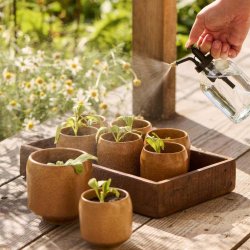 Forstverflaske. Klar glas. Ib Laursen