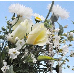 Blomsterblanding. Bride. Fr