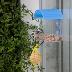 Fuglefoderplads til vinduet