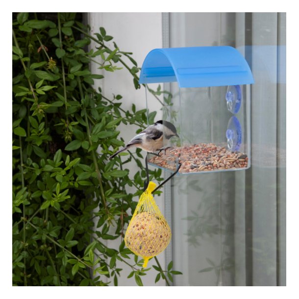 Fuglefoderplads til vinduet